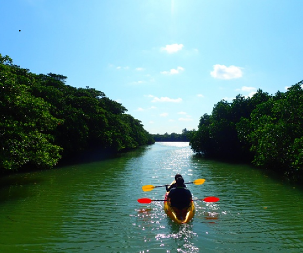 activity_detail_image