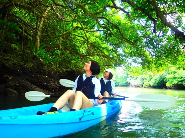 [독점할인] 이시가키 맹그로브 카누 투어