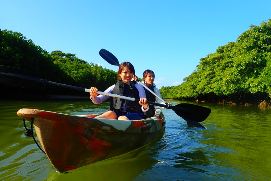 [독점할인] 이시가키 맹그로브 카누 투어