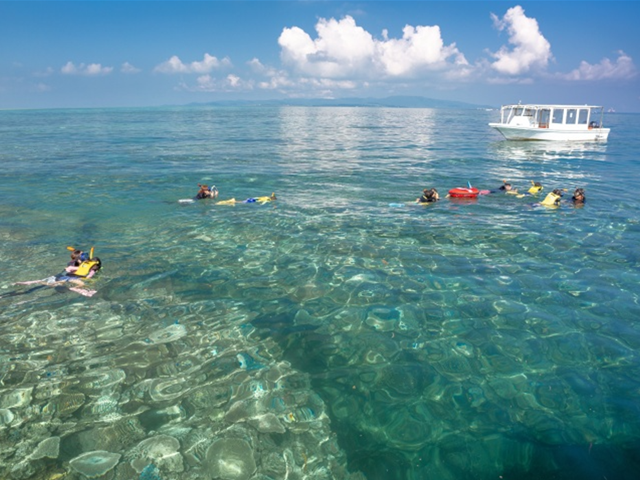 [독점할인] 이시가키 환상의 섬 하마지마 스노클링 & 다케토미섬 자유관광 일일 투어