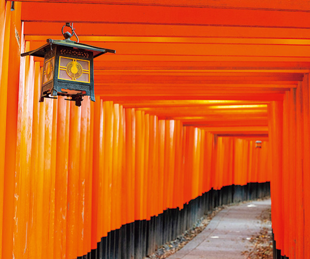 activity_detail_image