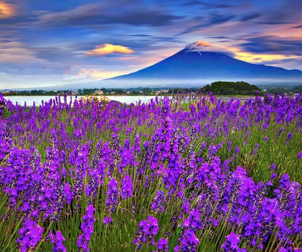 activity_detail_image