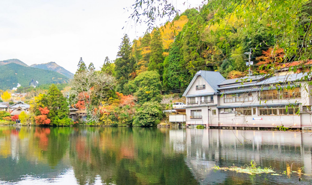 [유투어버스] [6가지특전] 후쿠오카 히타, 유후인, 벳부 일일 버스투어 (간식, 입장료 포함)