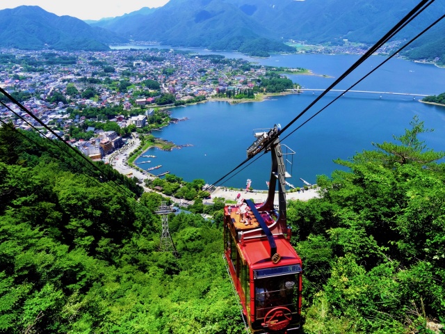 도쿄 출발: 후지산 포토 스팟 일일 투어 H코스 (후지산 케이블카, 오시노 핫카이, 말차 체험, 로손 가와구치코) - WAUG Exclusive