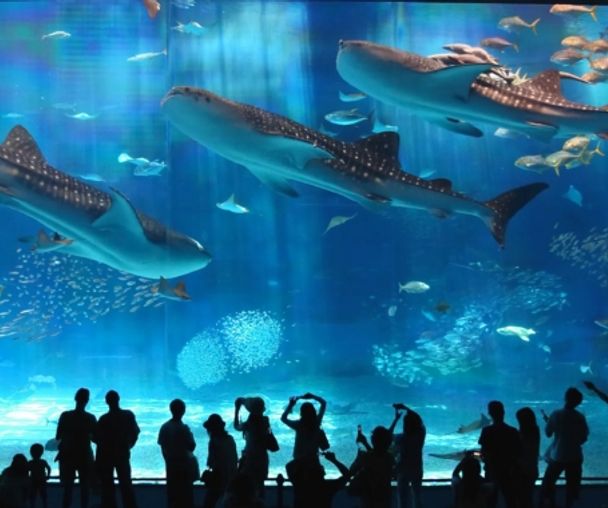 activity_detail_image