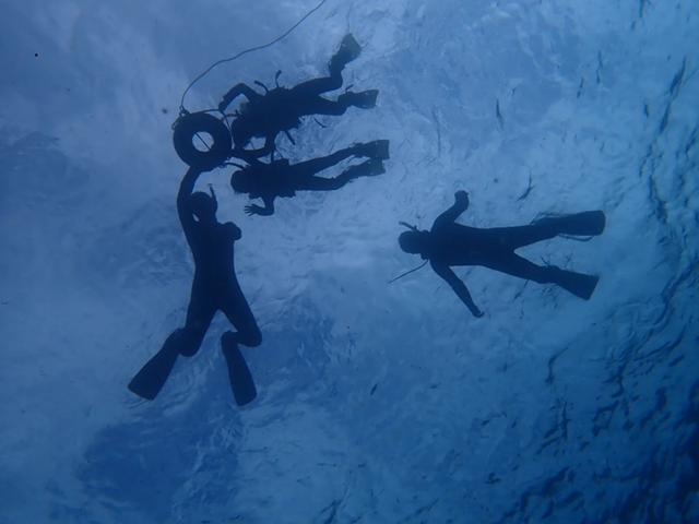 Ishigaki Manta Ray Snorkeling Tour (WAUG Exclusive)