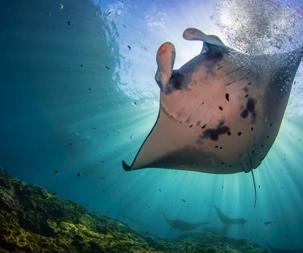 activity_detail_image