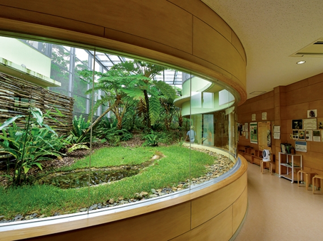 나하 출발: 오키나와 북부 힙합버스 C코스 투어