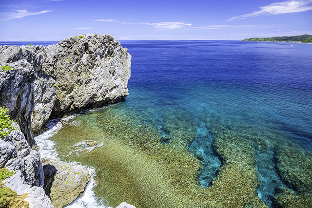 나하 출발: 오키나와 북부 힙합버스 C코스 투어