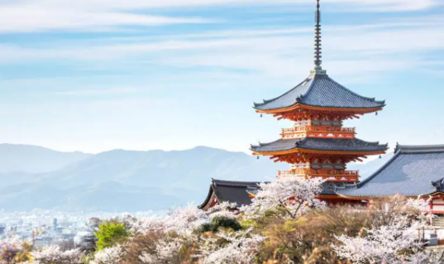 [테라투어] 오사카 출발: 교토 & 나라 소소버스투어 (사슴공원, 이온몰, 후시미이나리, 청수사)