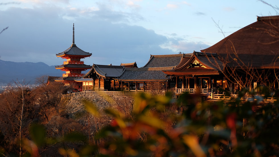 [여행한그릇] 교토 버스투어, 그리고 무료 사진 촬영