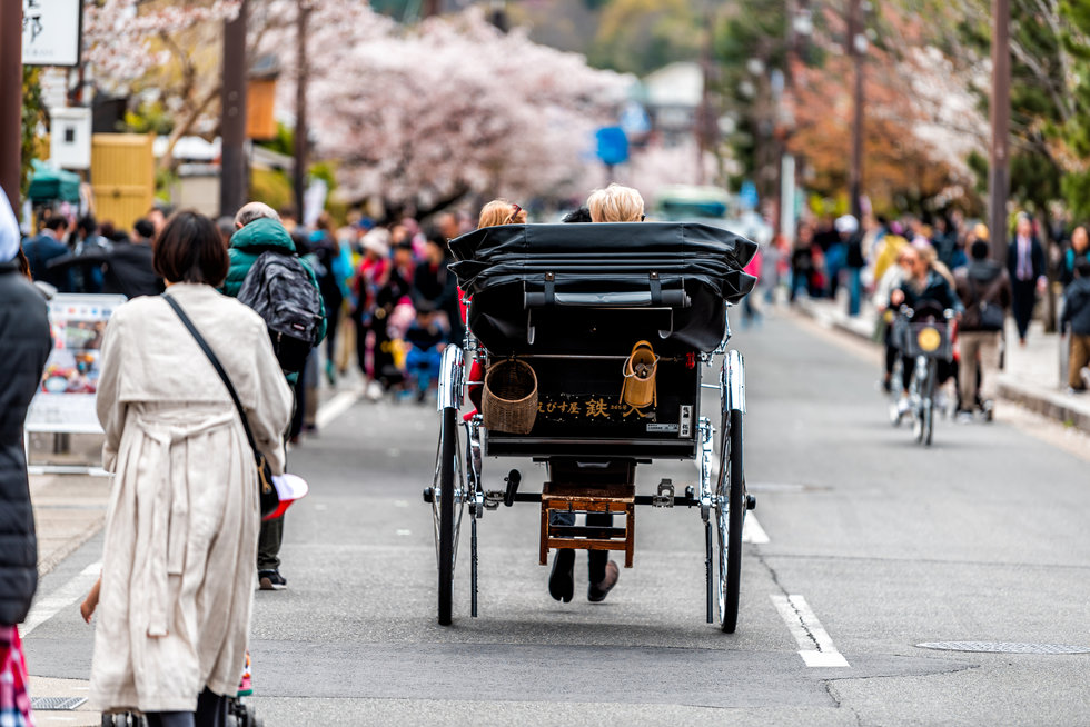 [여행한그릇] 교토 버스투어, 그리고 무료 사진 촬영
