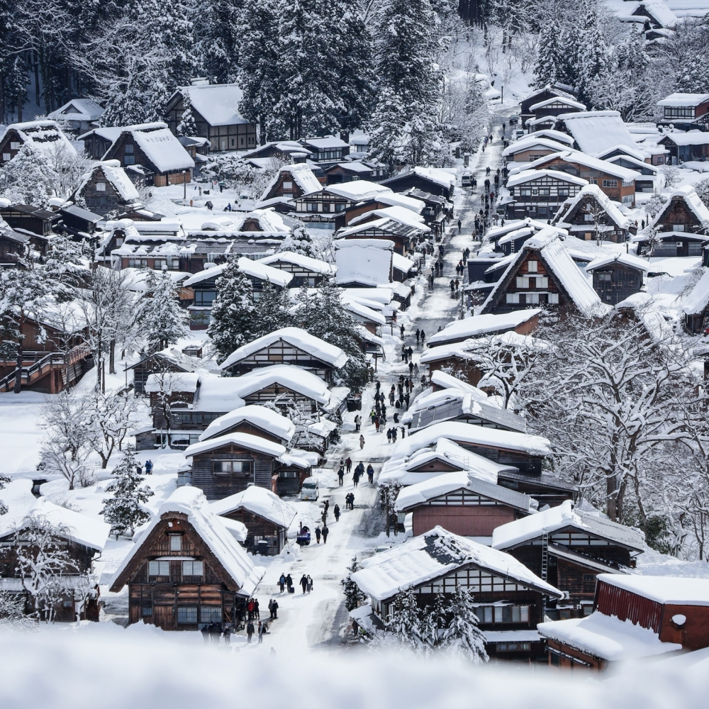 나고야 다카야마 시라카와고 버스투어 (엔데이트립 / 특전 제공)