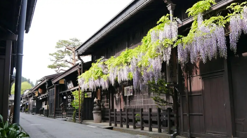 나고야 다카야마 시라카와고 버스투어 (엔데이트립 / 특전 제공)