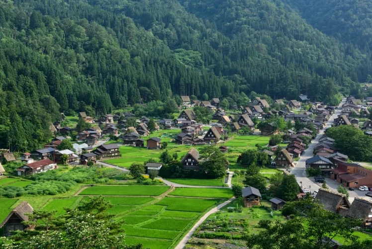 나고야 다카야마 시라카와고 버스투어 (엔데이트립 / 특전 제공)
