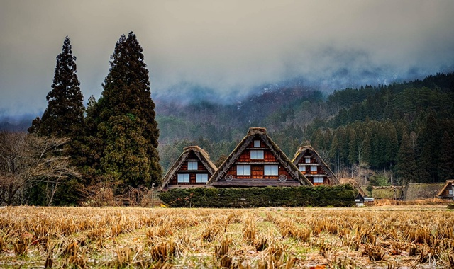 Nagoya Departure: Shirakawa-go & Takayama Bus Tour