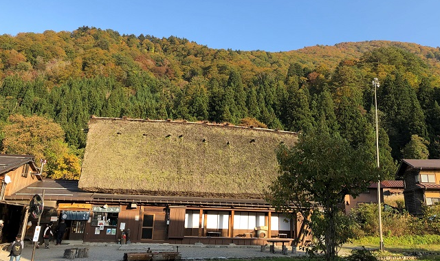 Nagoya Departure: Shirakawa-go & Takayama Bus Tour