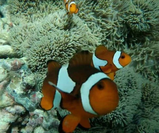 activity_detail_image