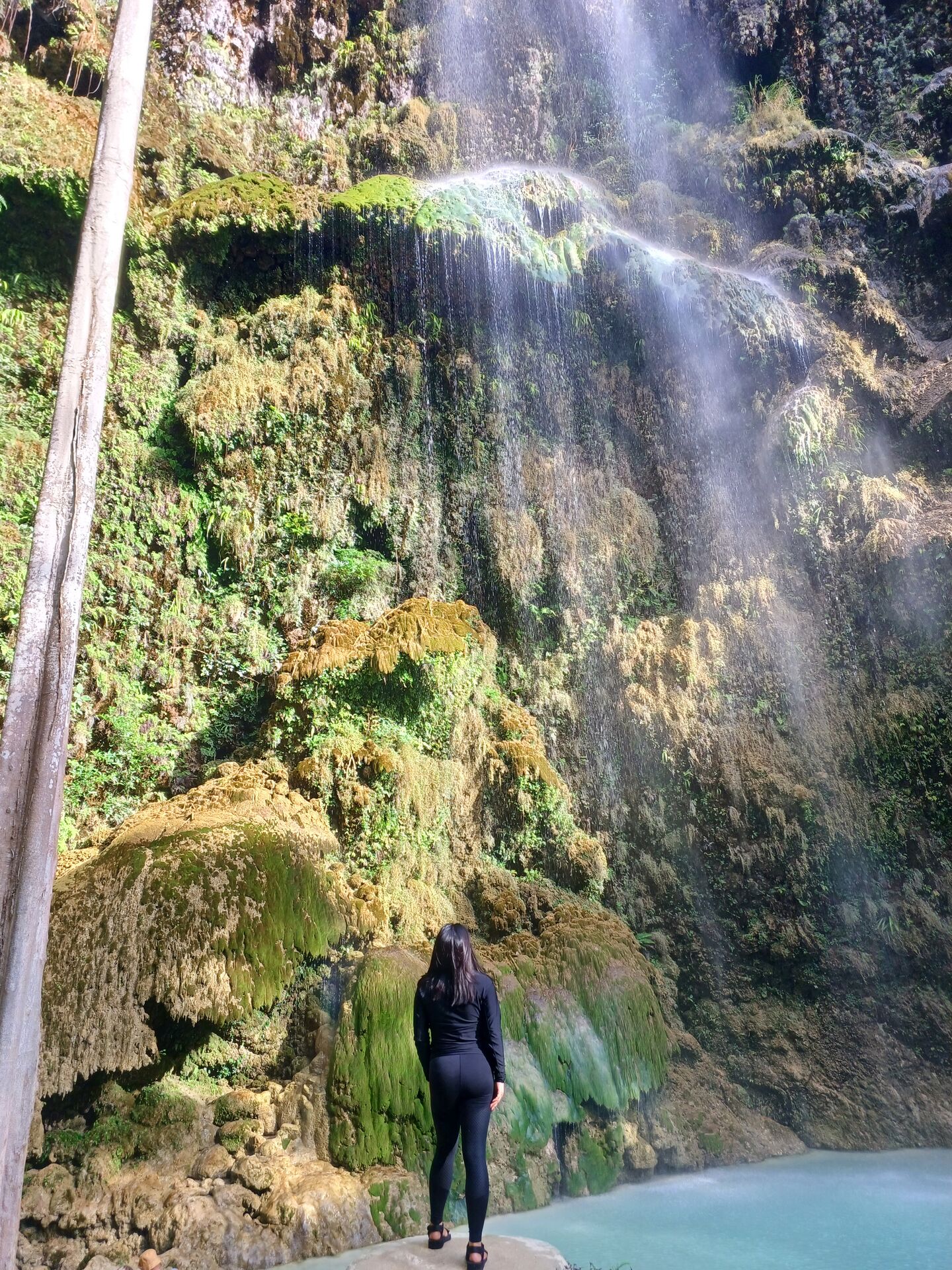 [독점할인] [투어스타] 세부 오슬롭 & 모알보알 단독 투어 (리뷰 이벤트)