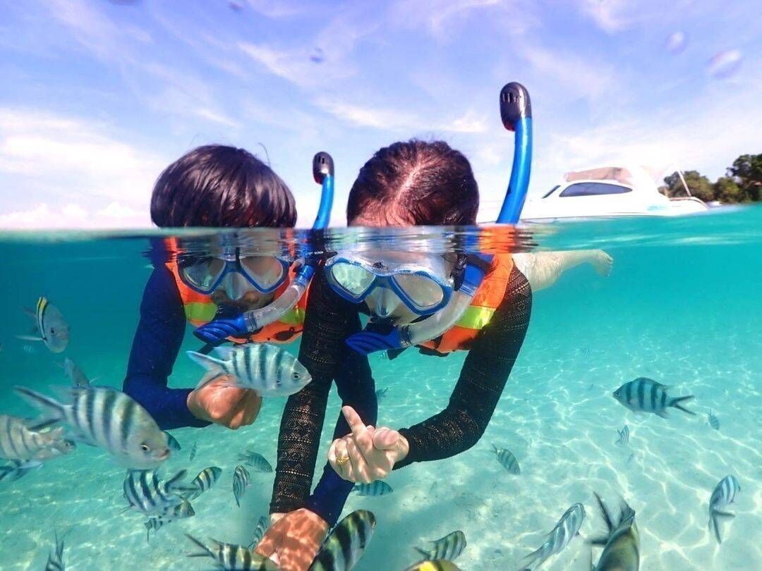 파타야 니모섬 스노클링 조끼 + 오리발 + 스노장비 무료 대여 투어 (파타야출발 / 차량포함)