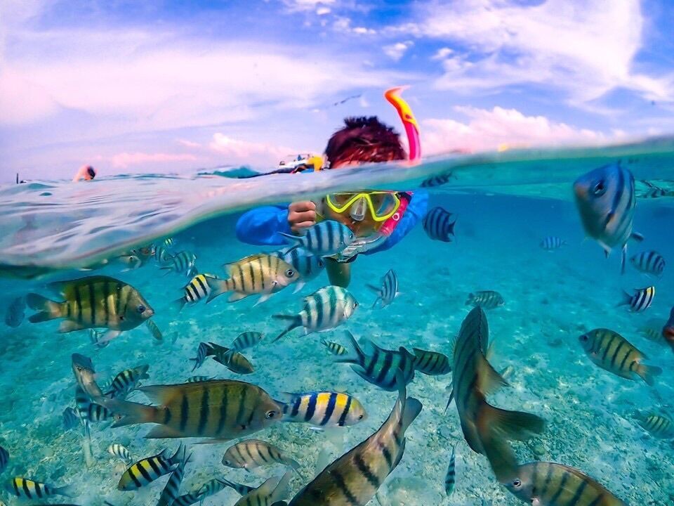 방콕 니모섬 스노클링 조끼 + 오리발 + 스노장비 대여 투어 (방콕출발/차량포함)