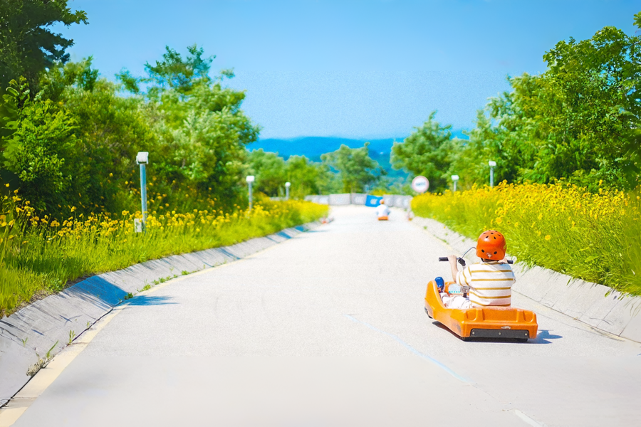 [20% Off] Ganghwa Luge & Cable Car Ticket (WAUG Exclusive)