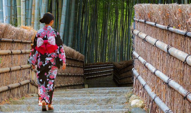 [독점할인] [아이트립] 오사카 출발: 교토 일일 투어 (후시미이나리 신사, 아라시야마, 금각사, 청수사)