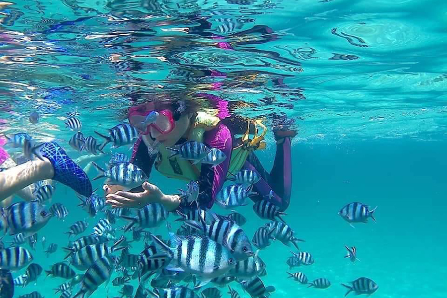 Kota Kinabalu Pulau Tiga Island Hopping Tour