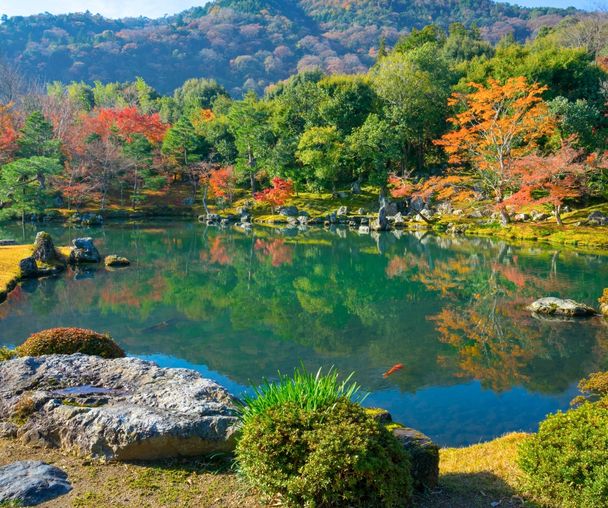 activity_detail_image