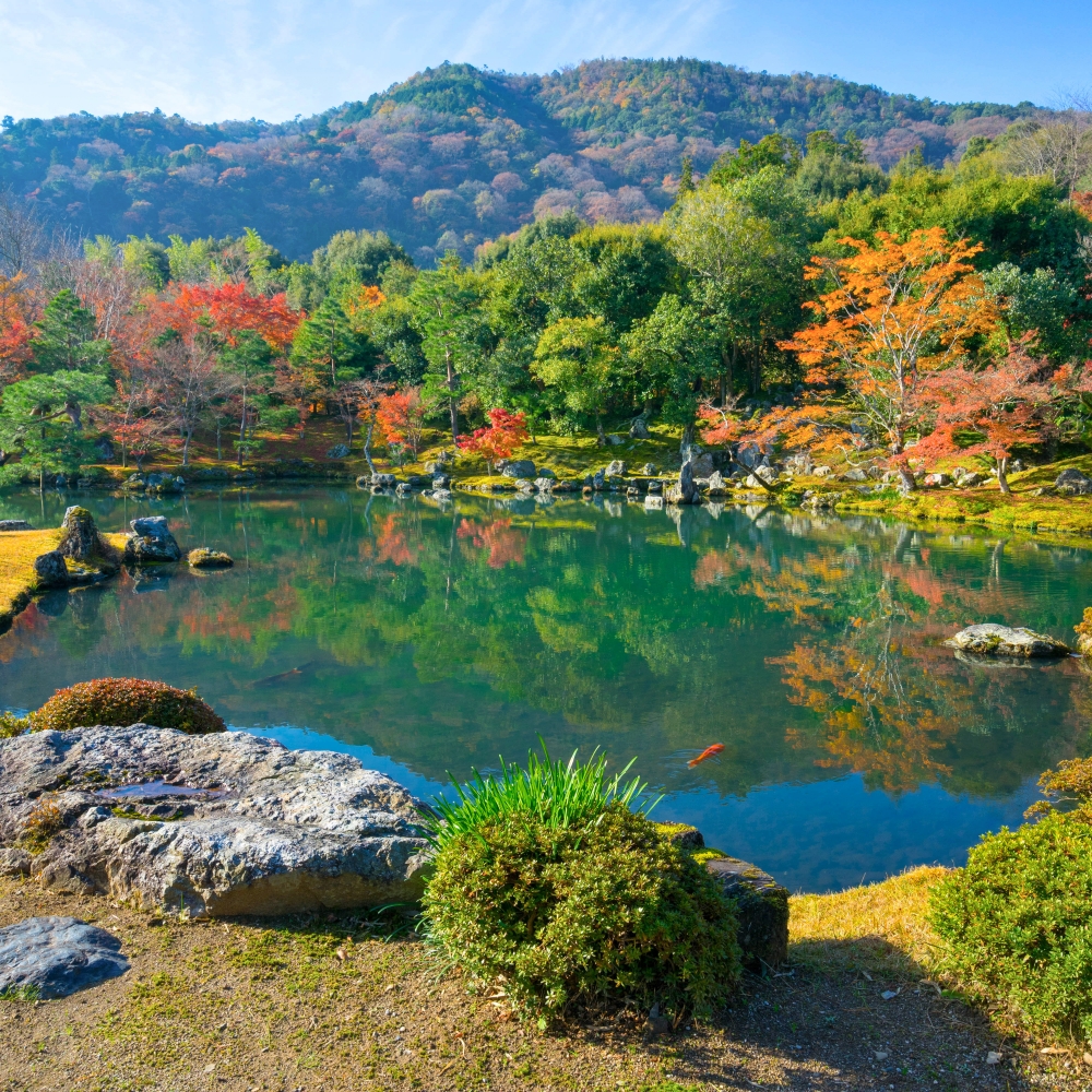 [독점할인] [아이트립] 오사카 출발: 나라&교토 일일 버스 투어