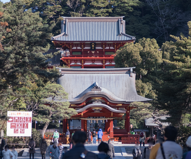 activity_detail_image