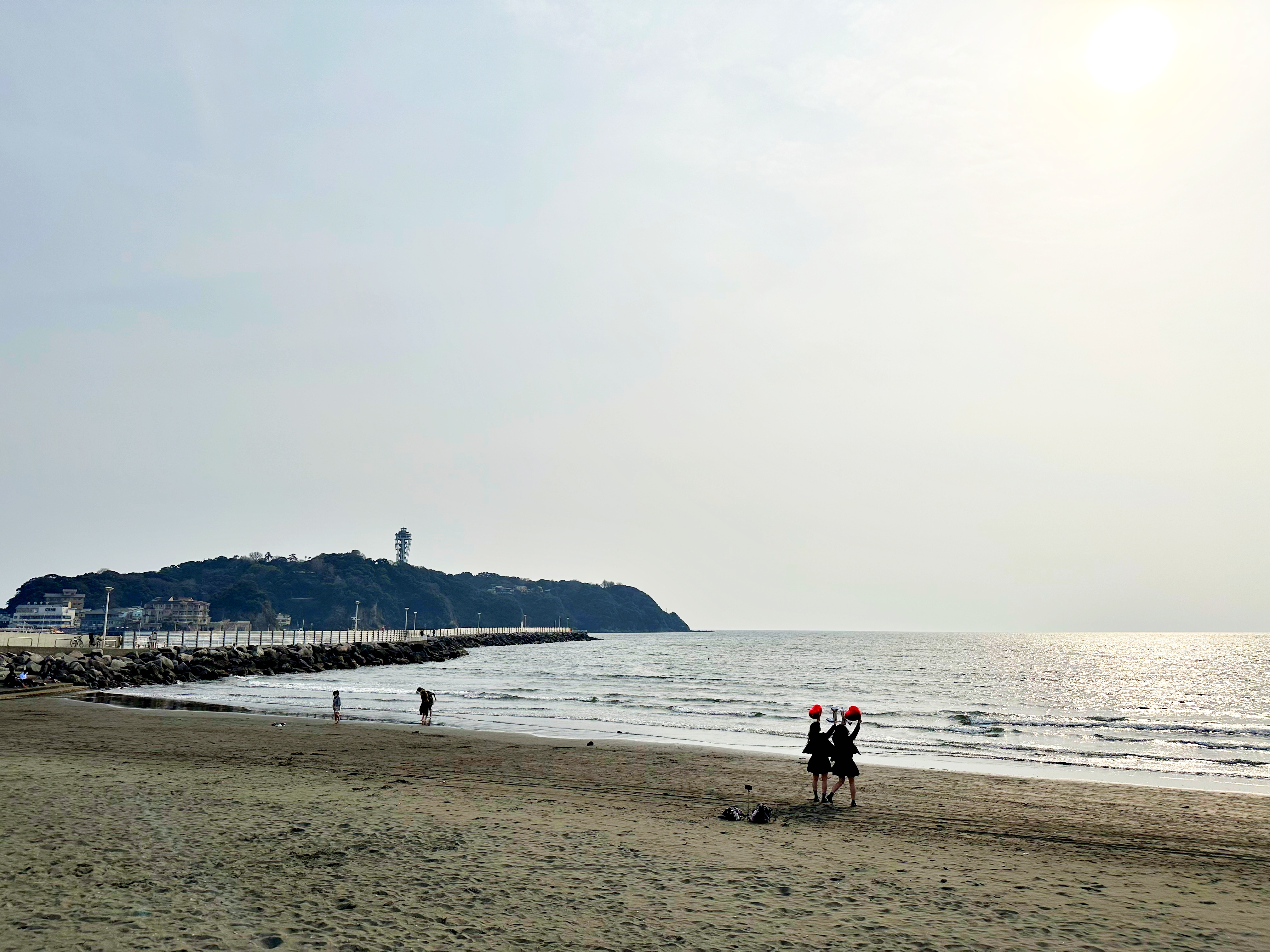 도쿄 하코네 가마쿠라 버스투어 (에노덴 기차표 특전)