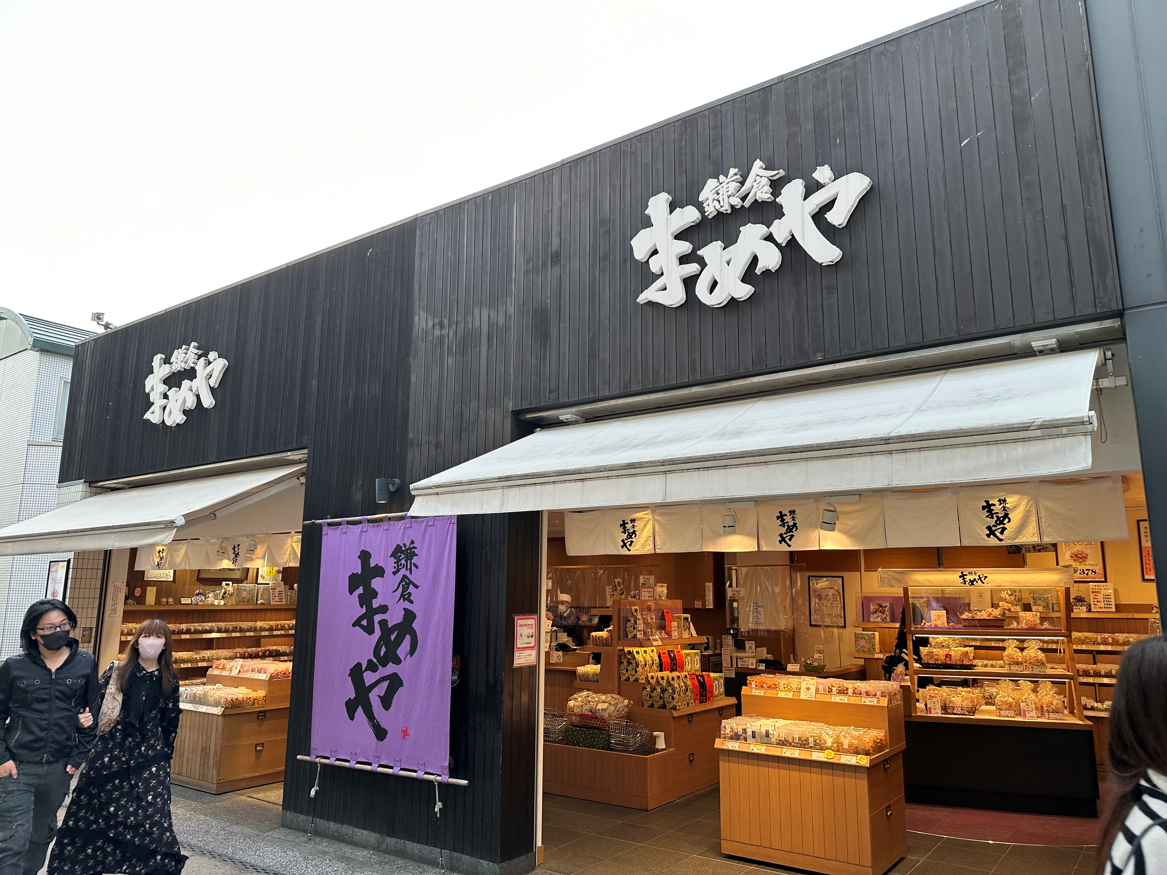 도쿄 하코네 가마쿠라 버스투어 (에노덴 기차표 특전)