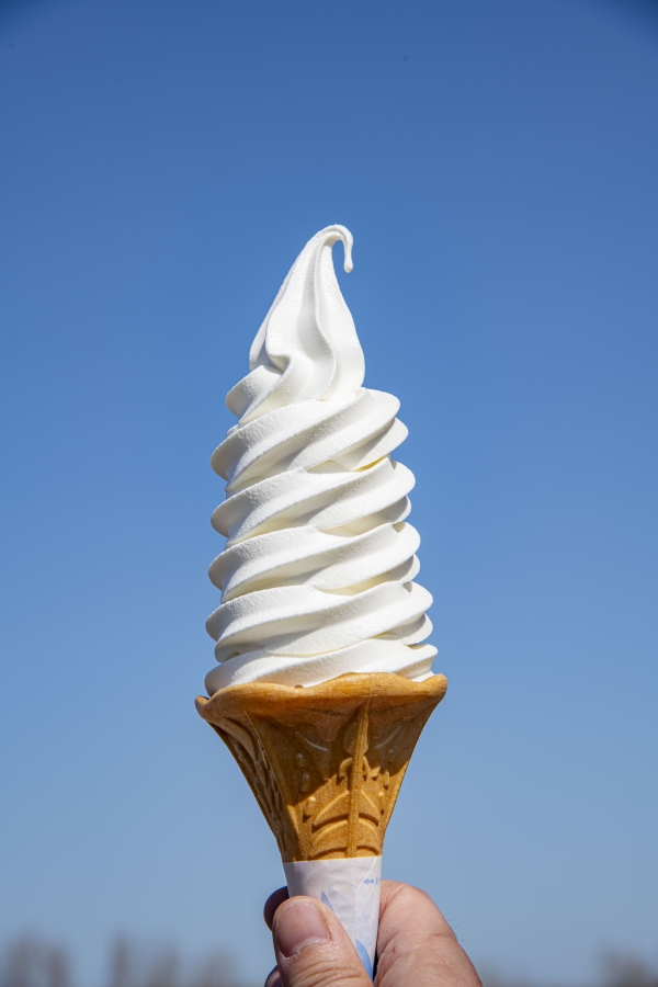 삿포로 출발: 노보리베츠, 도야호 그리고 니세코 올인원 일일 투어