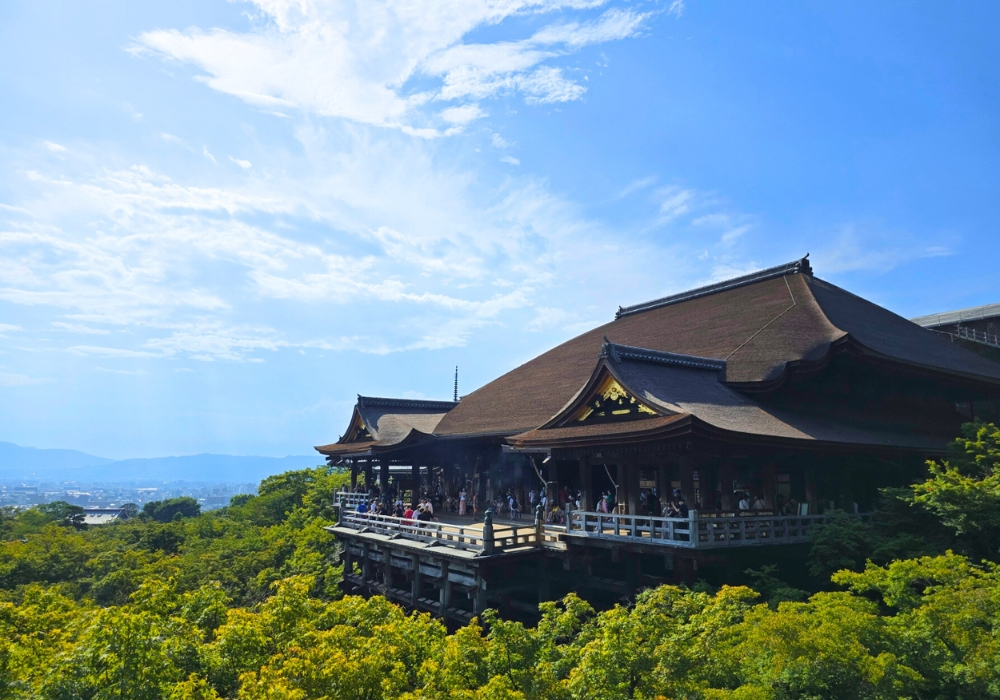 나라 & 교토 프라이빗 차량 일일 투어 (픽업 & 샌딩 + 무료 스냅사진 촬영 포함)