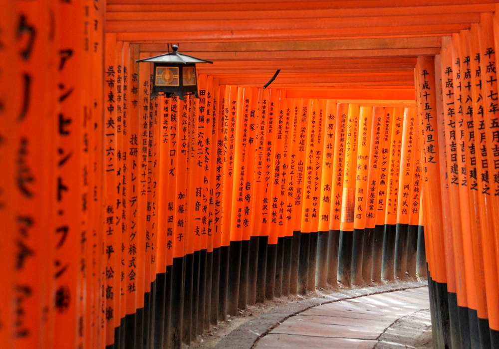 나라 & 교토 프라이빗 차량 일일 투어 (픽업 & 샌딩 + 무료 스냅사진 촬영 포함)