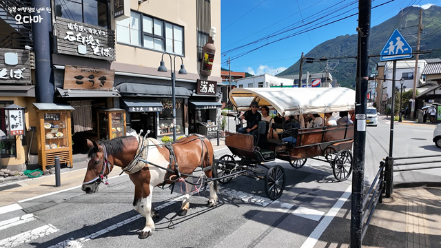 [독점할인] 얼리 후쿠오카 출발 히타 포함 최다코스 일일 투어 - 잇쇼니!