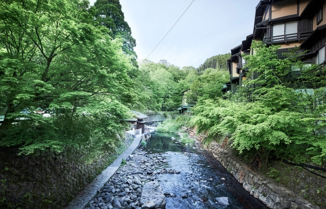 후쿠오카 출발: 큐슈 구마모토 일일 투어 (아소산, 구사센리, 아소 신사, 쿠로카와 온천) - WAUG Exclusive