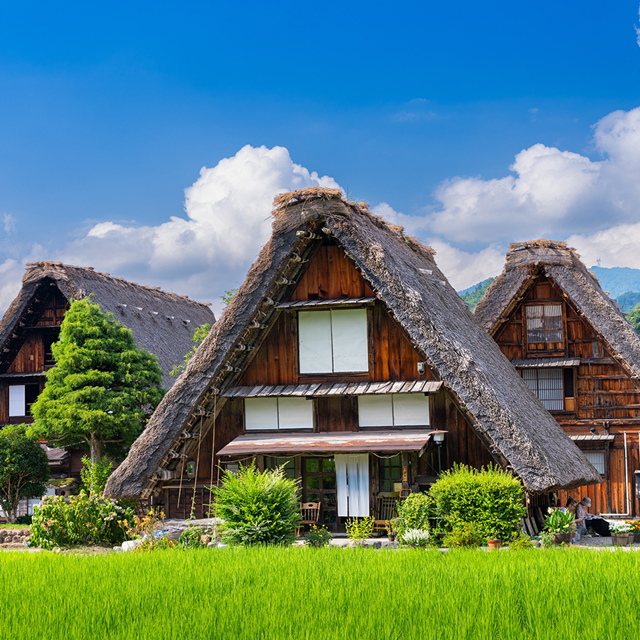 [독점할인] [아이트립] 나고야 출발: 시라카와고 & 다카야마 일일 버스투어 (한국어 가이드)