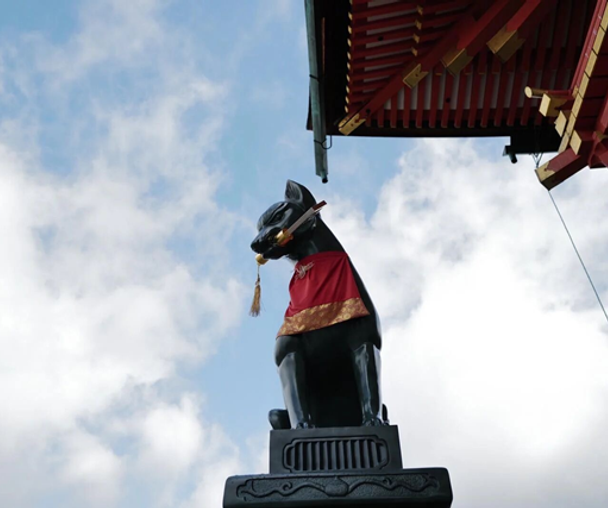 activity_detail_image