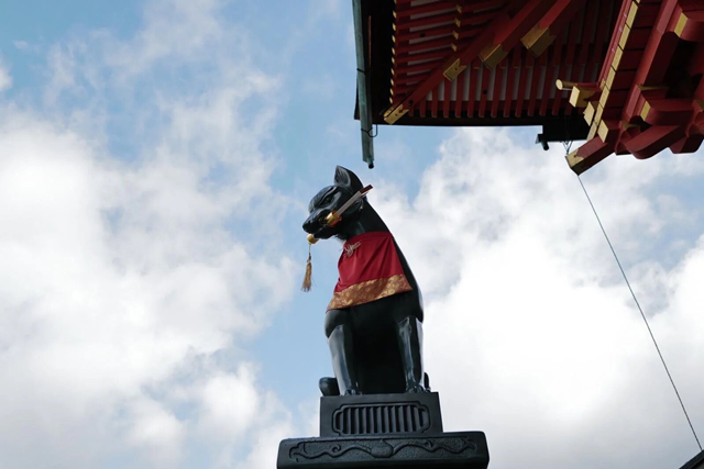 교토 얼리 모닝 소규모 일일 투어