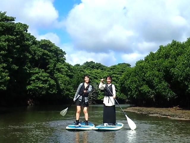 [독점할인] 이시가키 맹그로브 SUP 투어