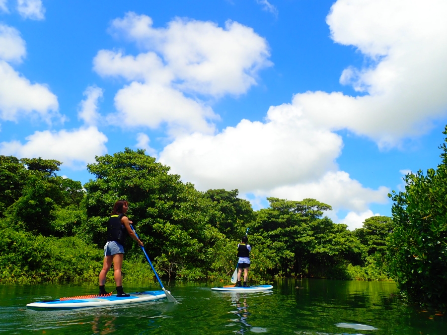 [독점할인] 이시가키 맹그로브 SUP 투어