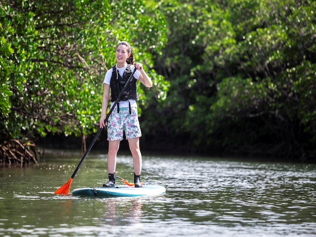 [독점할인] 이시가키 맹그로브 SUP 투어