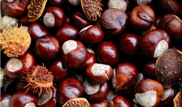 베이징 황화성 수(水)장성 일일 버스 투어