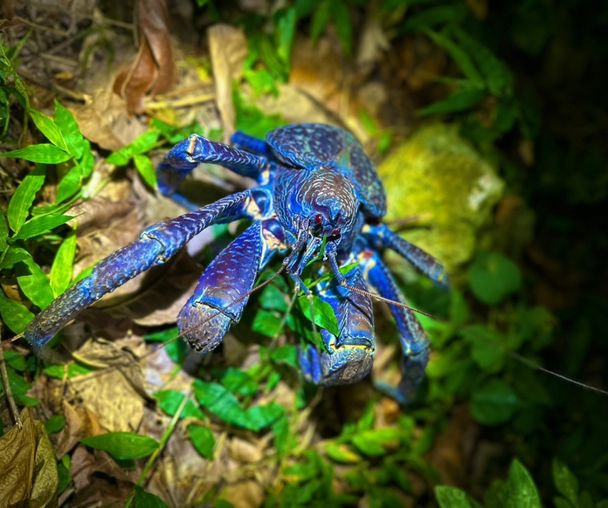 activity_detail_image