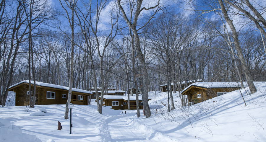 하코다테 숲 속 통나무 집 숙박권 (장기 체류 가능)