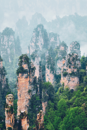 Zhangjiajie: National Forest Park Private VIP Day Tour