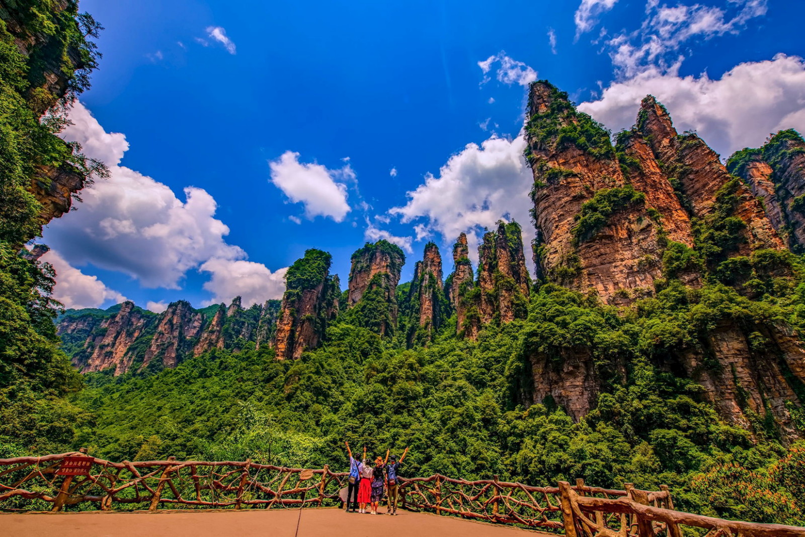 Zhangjiajie: National Forest Park Private VIP Day Tour