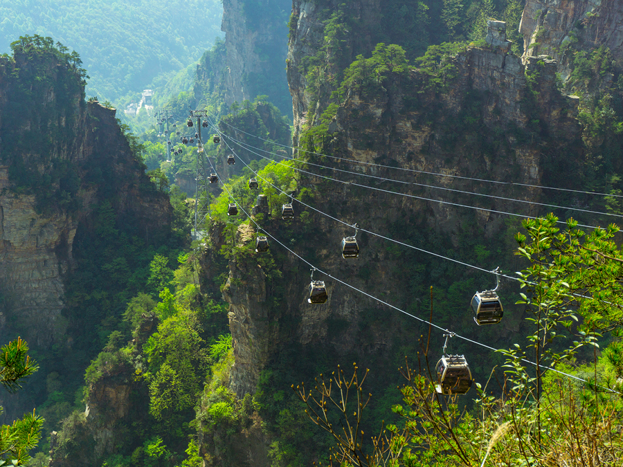 Zhangjiajie: National Forest Park Private VIP Day Tour